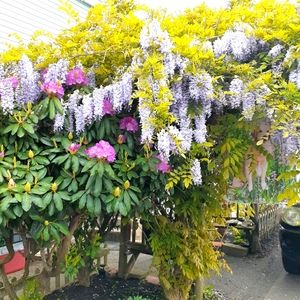 Meet your Posher, Sandy